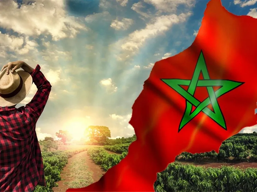 Présence Syngenta au Maroc