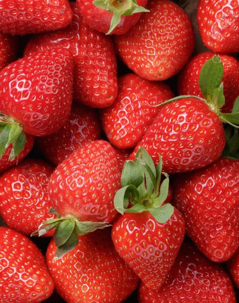 Fraises