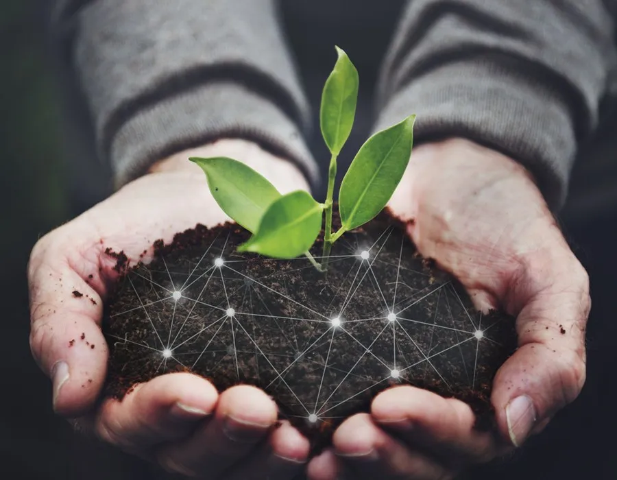 Application phytosanitaire